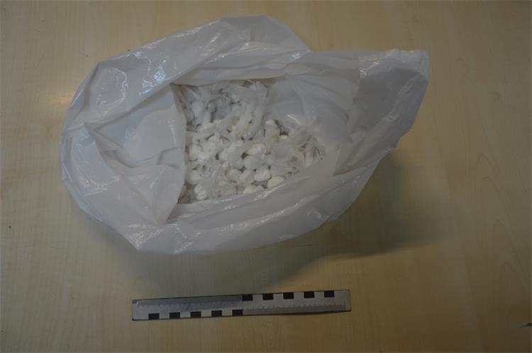 Slika /2020/KOKAIN/DSC_7516.JPG