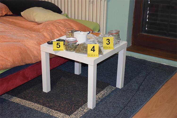 Slika /2020/marihuana/DSC_0031.JPG