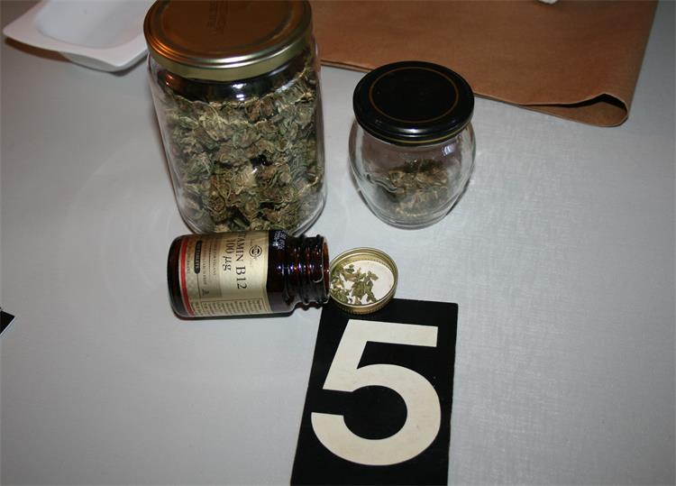 Slika /2025/Droga/Sarvaš/IMG_0046.JPG