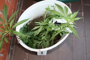 Slika /droga16.07/droga2-mala.jpg