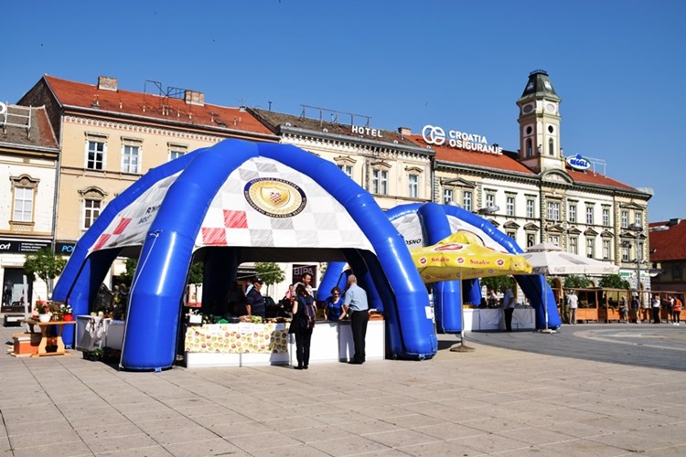 Slika 2017/DanBraniteljaOS17/DanBraniteljaOS17_01.JPG